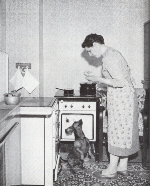 In the kitchen of a miner's apartment !