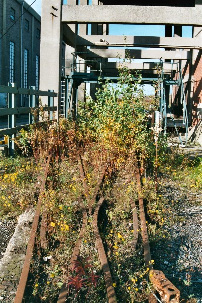 Plants are growing in the rails !