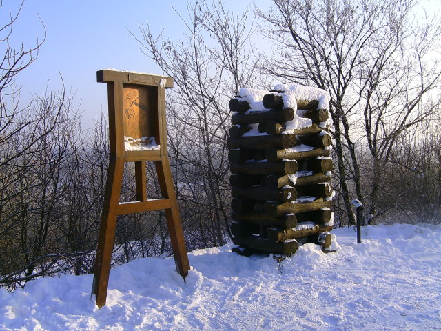 Wood for underground use on the slagheap !