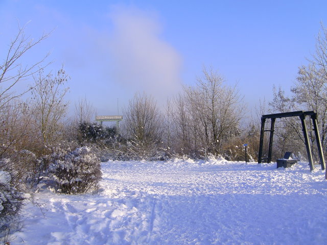 On Prosper-Haniel colliery's slagheap !